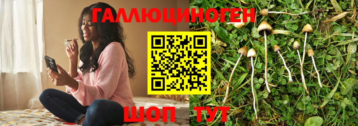 Галлюциногенные грибы прущие грибы  Вход с VPN  Рыбинск 