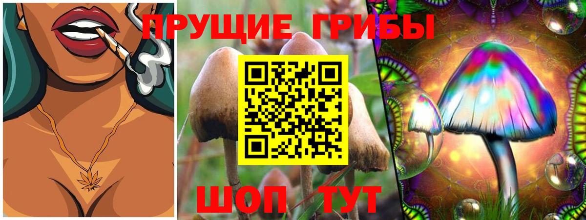 Псилоцибиновые грибы ЛСД Рыбинск